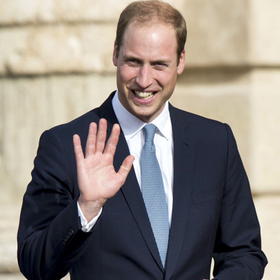 prince william launches action plan tackle prince william launches action plan tackle