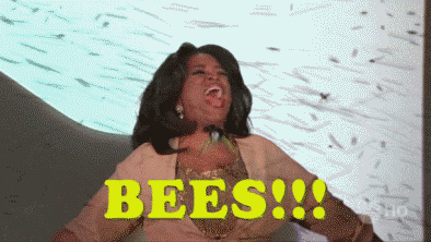 rs_394x222-160127120033-bees.gif