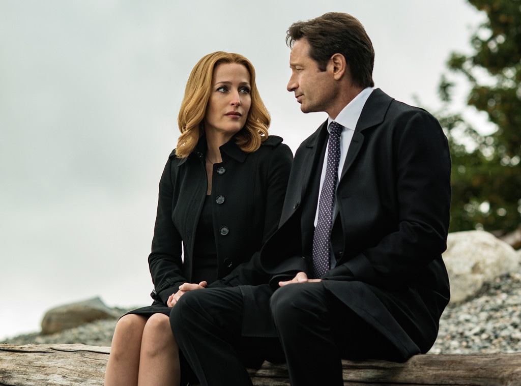 The X-Files, David Duchovny, Gillian Anderson