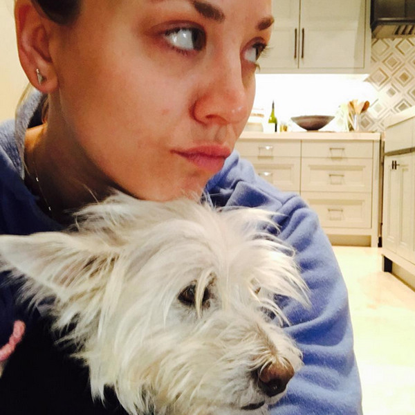 Kaley Cuoco, Instagram, Dog