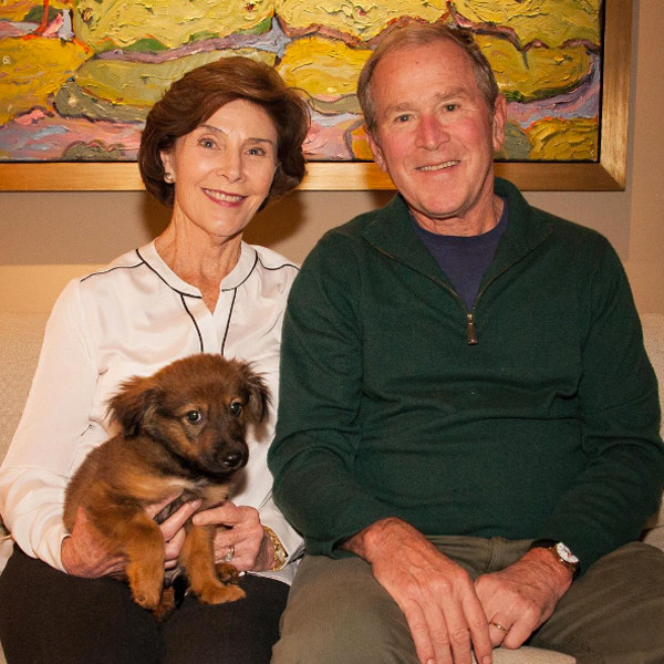 George W. Bush, Laura Bush, Freddy