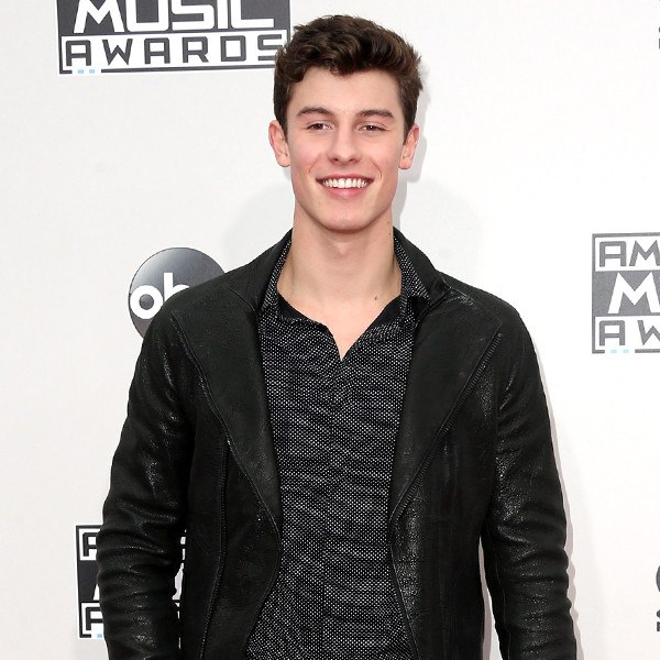 Shawn Mendes Reveals if He'd Ever Date a Fan at the 2016 AMAs