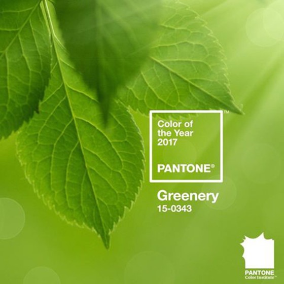 Pantone, verde folhagem