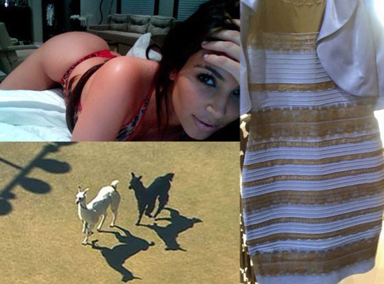 The Dress, Llamas, Kim Kardashian, One Year Ago