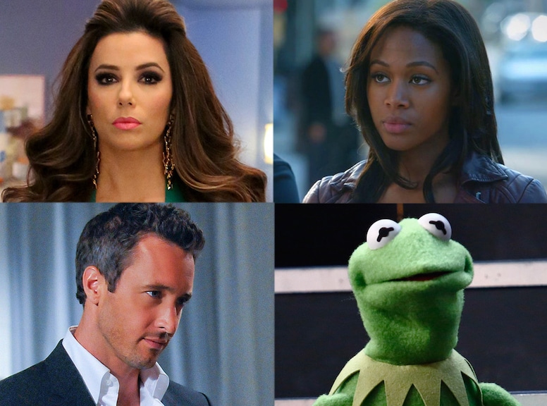 Sleepy Hollow, Telenovela, The Muppets, Hawaii Five-0