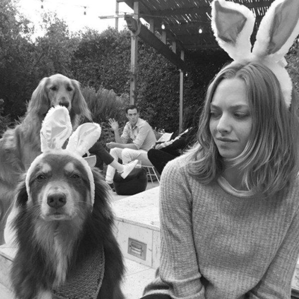 Amanda Seyfried From Stars Celebrate Easter E News