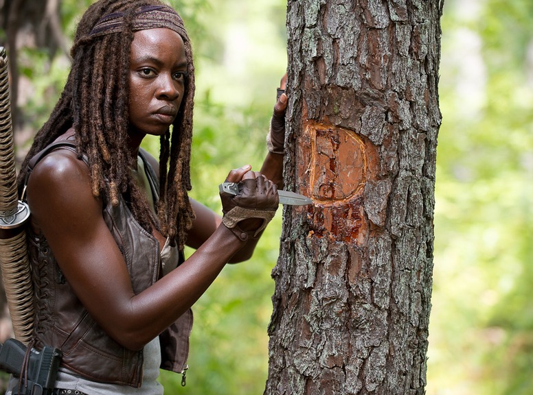 Danai Gurira, The Walking Dead