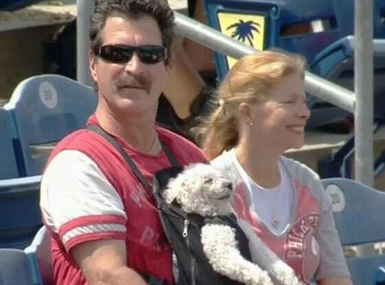 dog baby carrier