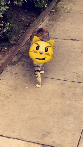 Snapchat's New Emoji Video Feature Is Way Too Fun - E! Online