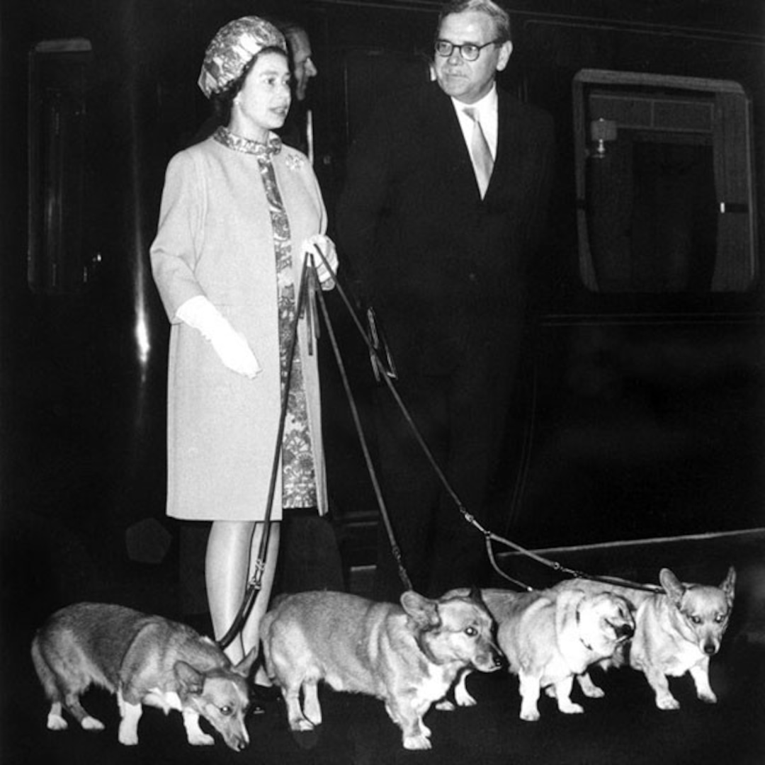 A Historical Retrospective Of Queen Elizabeth S Corgi Obsession E Online