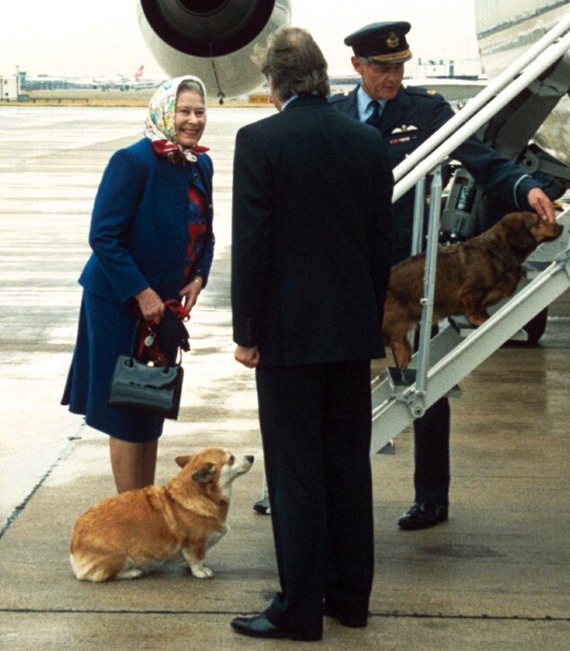 A Historical Retrospective Of Queen Elizabeth's Corgi Obsession | E! News