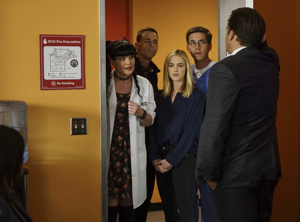 NCIS, Michael Weatherly