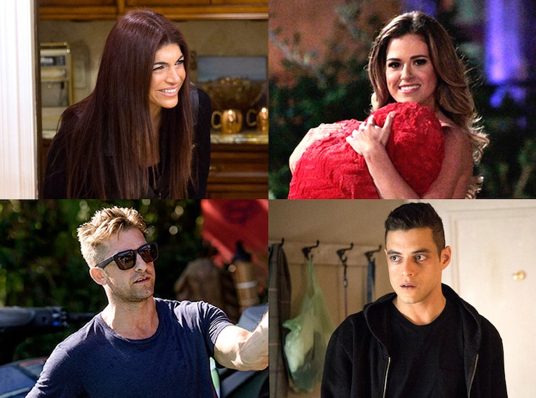 Animal Kingdom, The Bachelorette, Mr. Robot, RHONJ