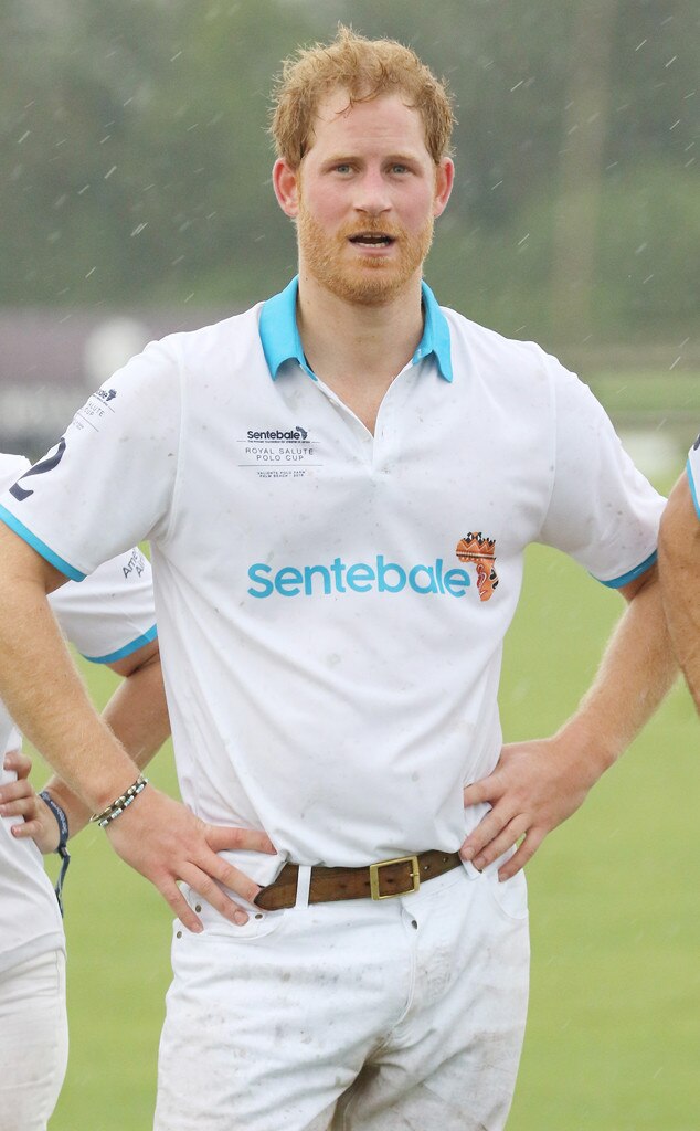 Prince Harry, Sentebale Royal Salute Polo Cup