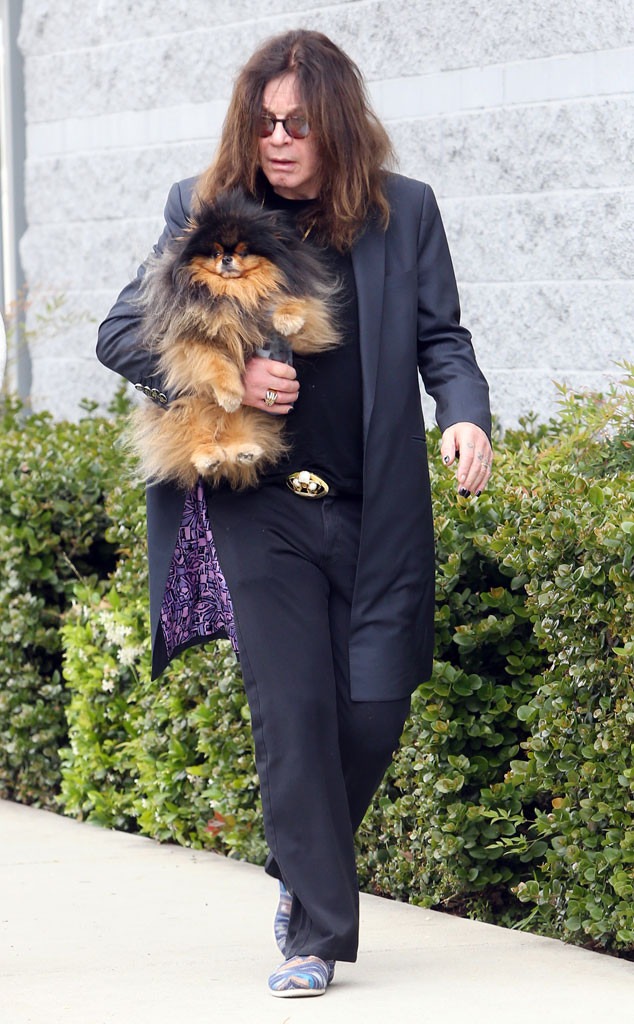 ozzy osbourne dog costume ozzy osbourne dog costume