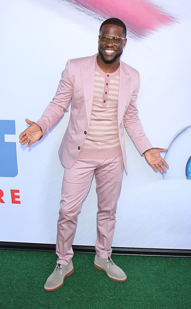 Kevin Hart from Stars at The Secret Life Of Pets Premiere | E! News