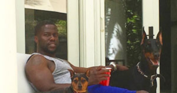 The Not-So-Secret Lives of Kevin Hart & Jenny Slate's Dogs | E! News