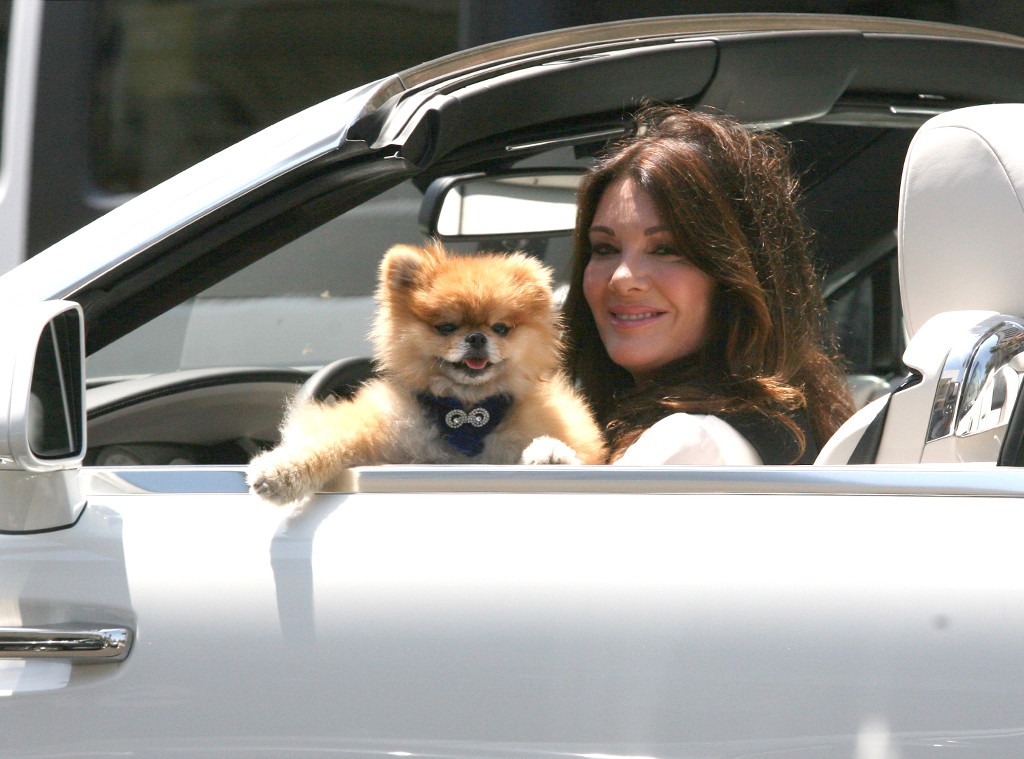 Lisa Vanderpump Opens Up About Animal Rights and Her New Foundation ...