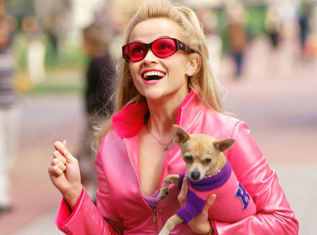 Funny Gals, Funniest Moments, Reese Witherspoon, Legally Blonde 2