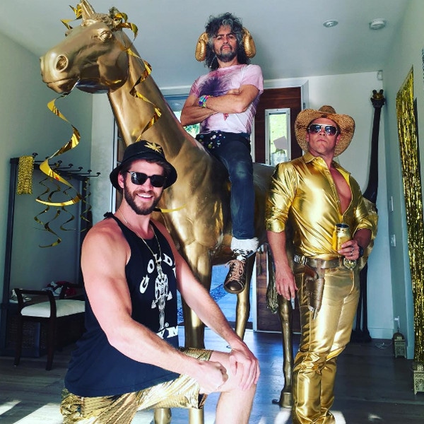 Liam Hemsworth, Luke Hemsworth, Miley Cyrus, Wayne Coyne, Birthday Party