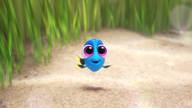Finding Dory