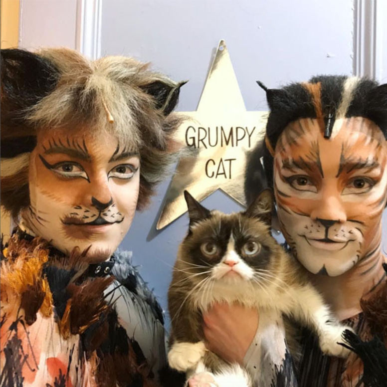 Famous Internet Pets