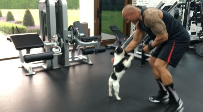 The Rock