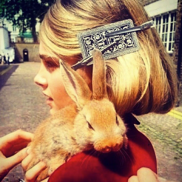 Cara Delevingne, Cecil, Rabbit, Bunny, Pet