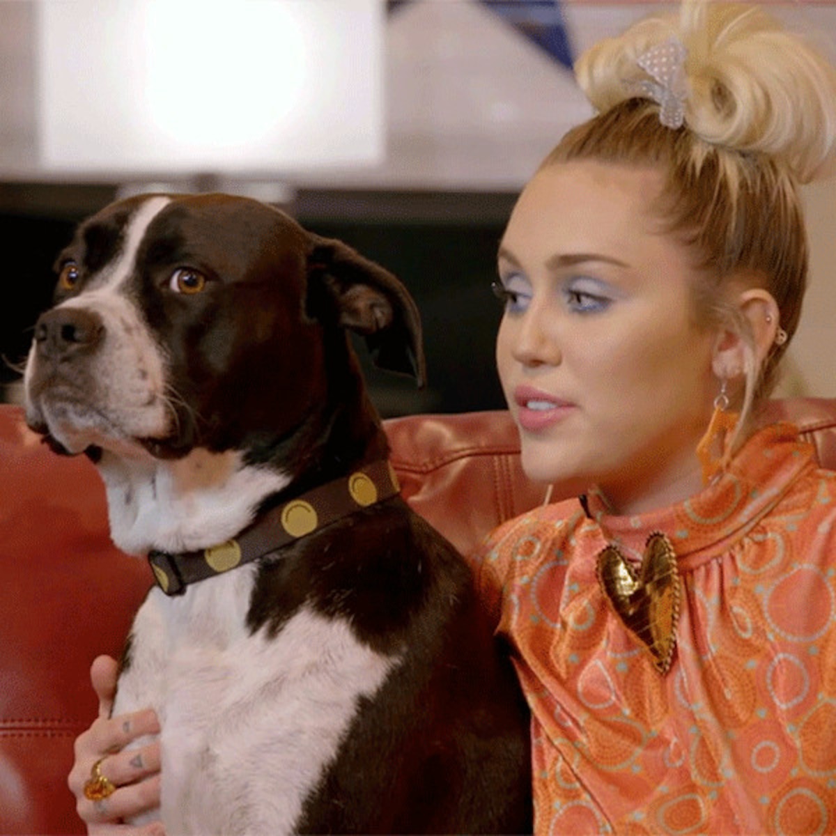 Meet Miley Cyrus' Dog Mary Jane, Because Of Course That's Her Name - E!  Online