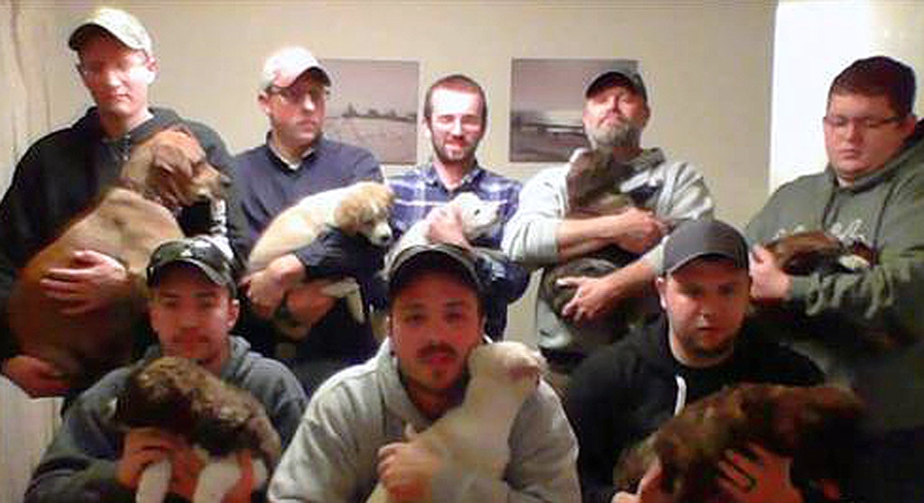 Bachelor Party Puppy Rescue Mission