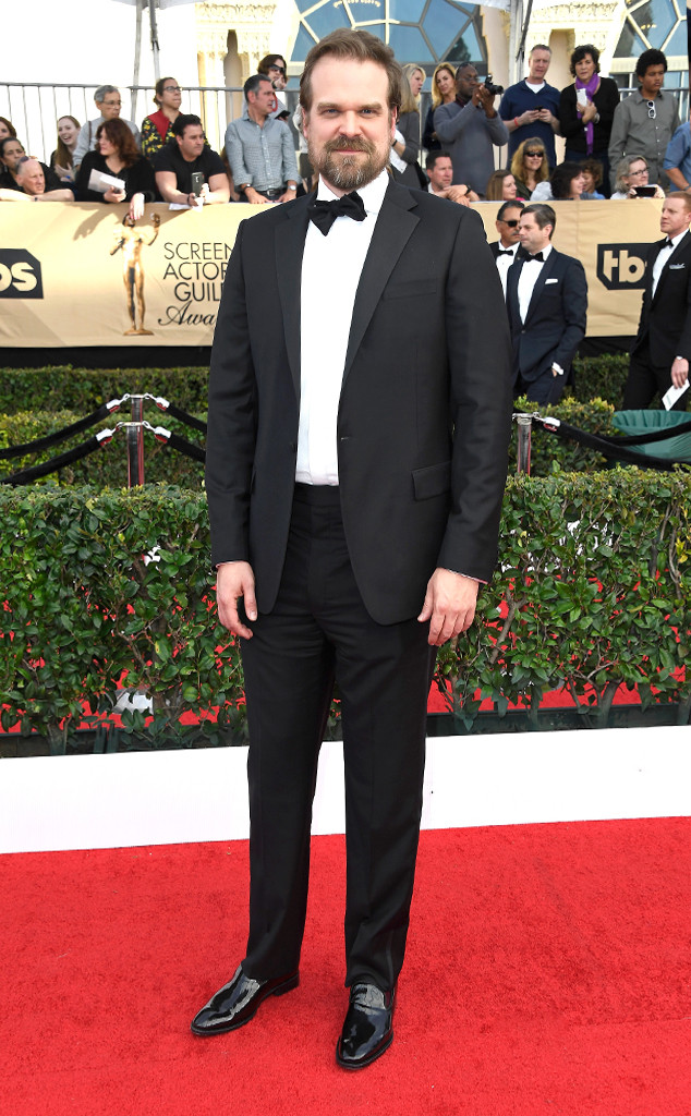 David Harbour, 2017 SAG Awards, Arrivals