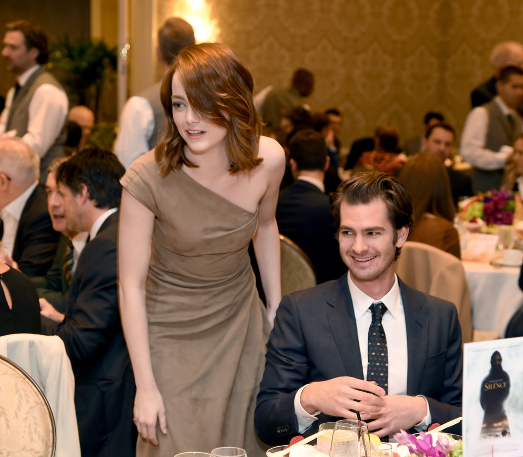 Emma Stone & Andrew Garfield Reunite at AFI Awards