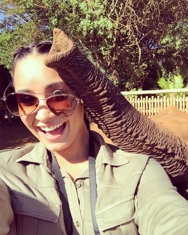 Demi Lovato, Elephant