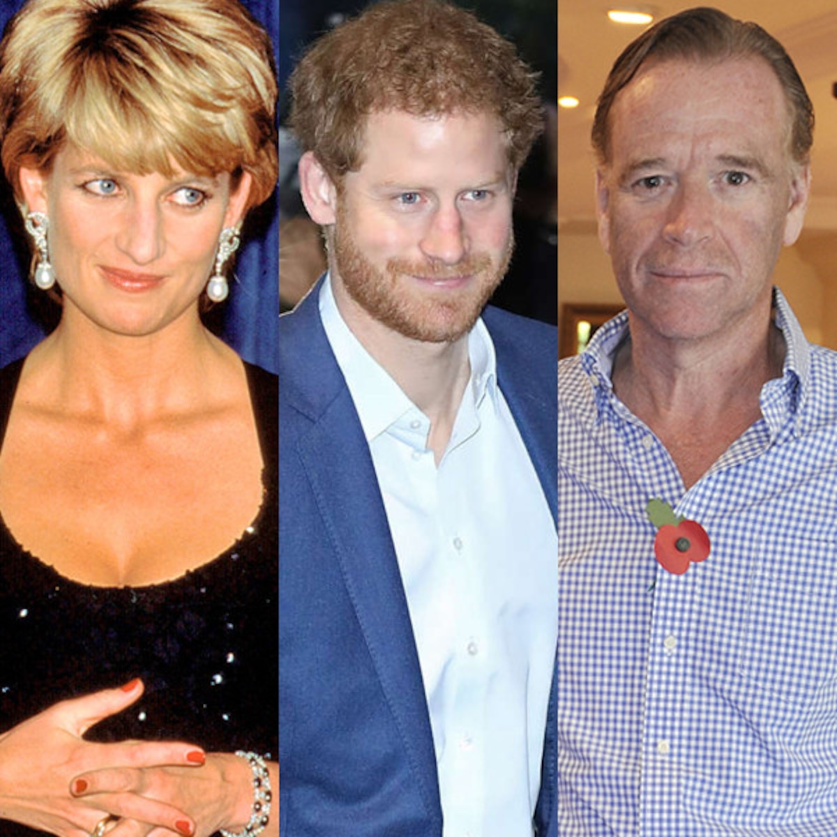 Monnik gemakkelijk te kwetsen Spreek luid Princess Diana's Lover James Hewitt Denies Fathering Prince Harry - E!  Online