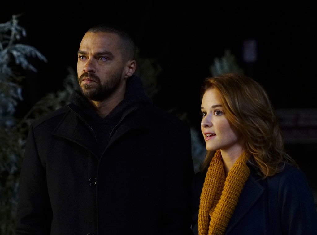 Grey's Anatomy, Jesse Williams, Sarah Drew, Season 13