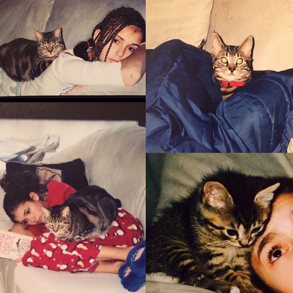 Nina Dobrev, Cat, Instagram