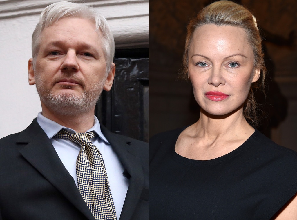 Pamela Anderson, Julian Assange