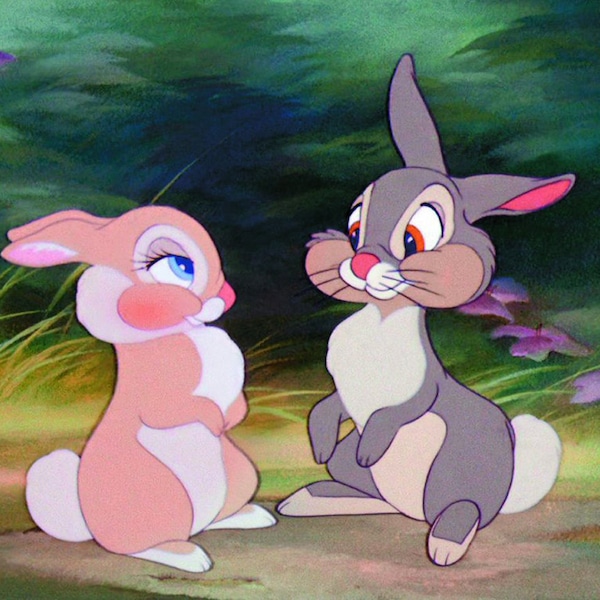 Thumper, Bambi from Famous Rabbits & Bunnies in Pop Culture | E! News