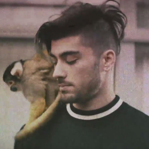 Zayn Malik Throws the Ultimate Party in ''Still Got Time'' Video - Online