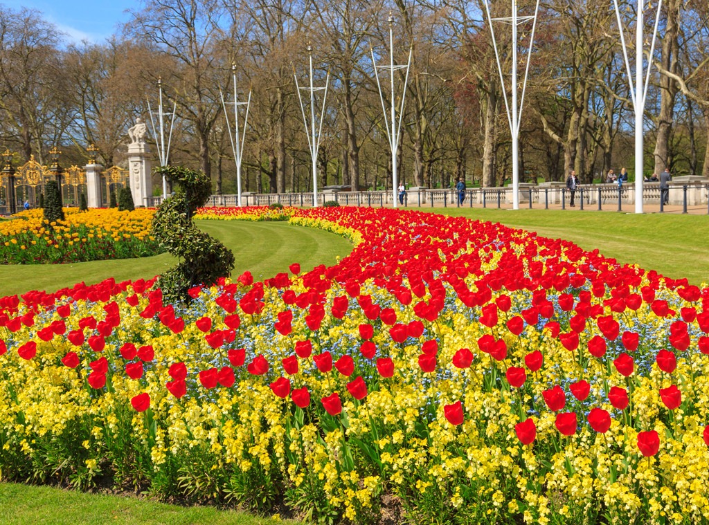 Buckingham Palace, gardens