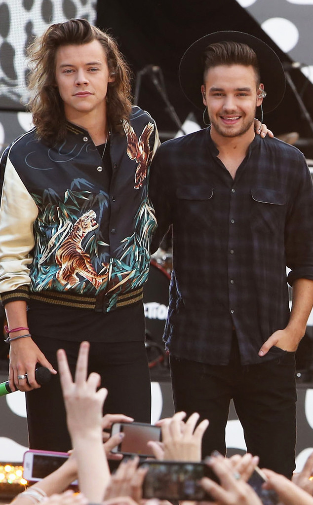 Harry Styles, Liam Payne