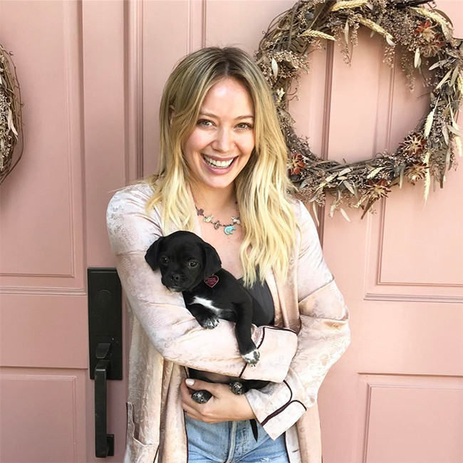 Hilary Duff: What's Up, Pup?: Photo 2532746