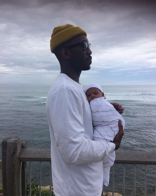 Mahershala Ali from Celebs Who Became Dads in 2017 E! News