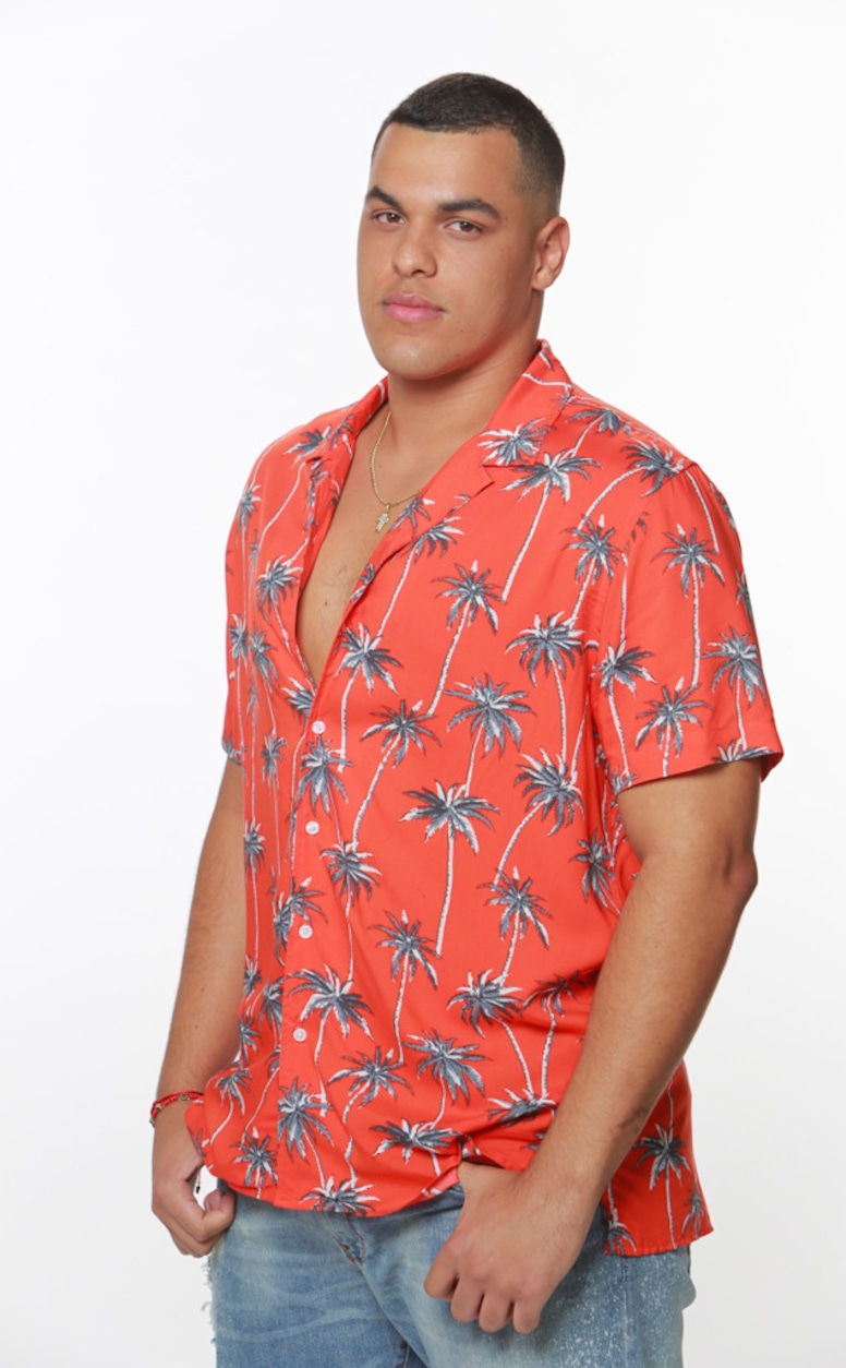 Big Brother Season 19