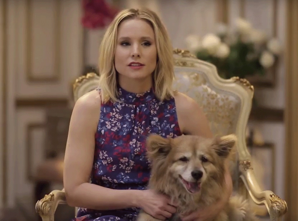 kristen bell dog