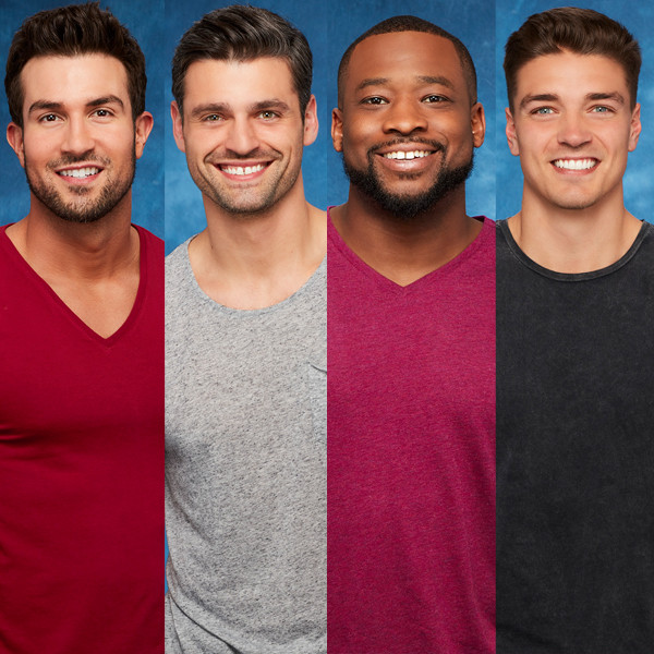 Who Will Be the Next Bachelor? A Closer Look at the Candidates - E! Online