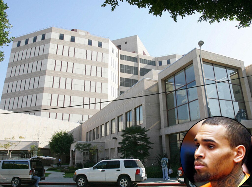 The Reality for Celebrities Behind Bars Still Famous but Just Trying