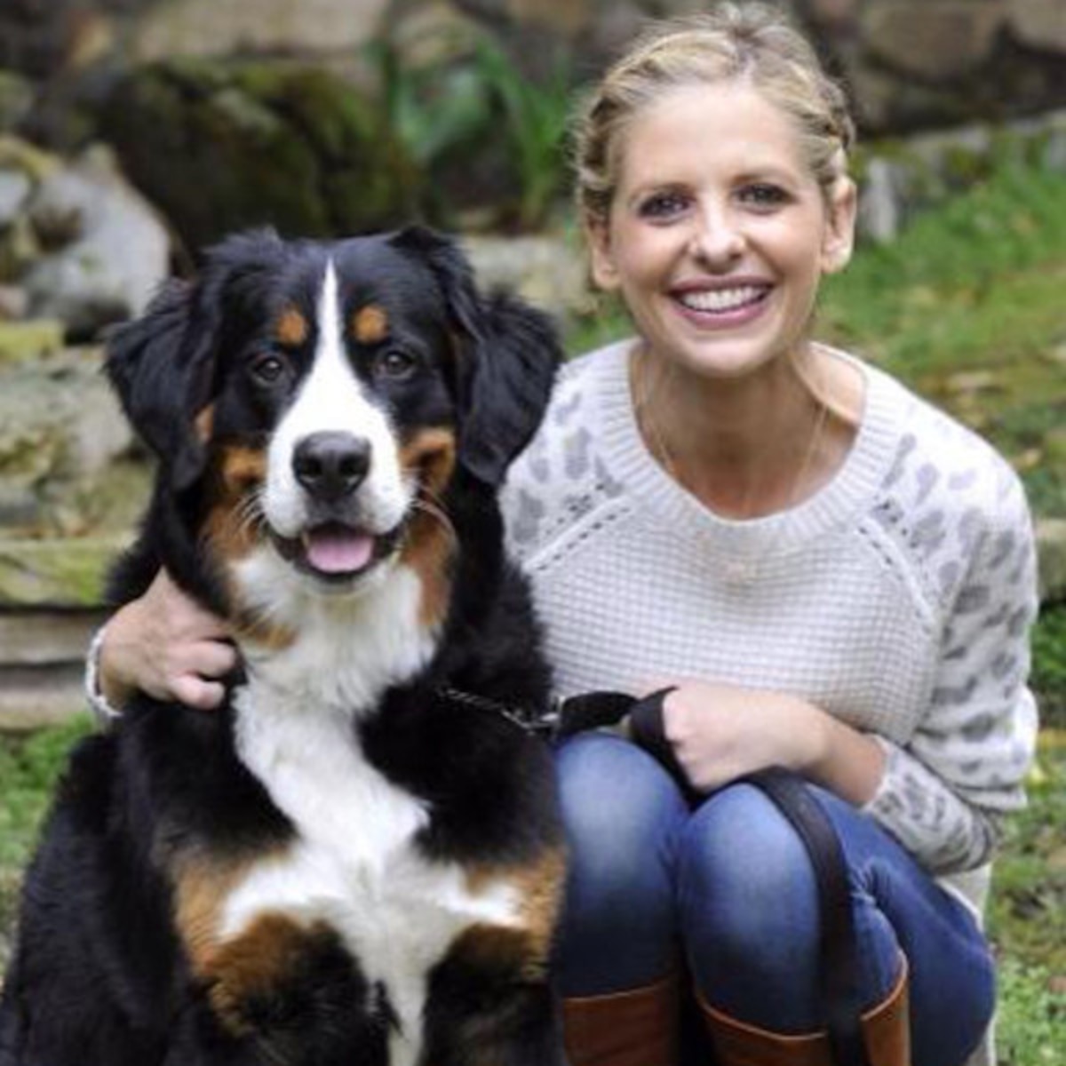 Sarah Michelle Gellar And More Celebs Celebrate National Dog Day E Online