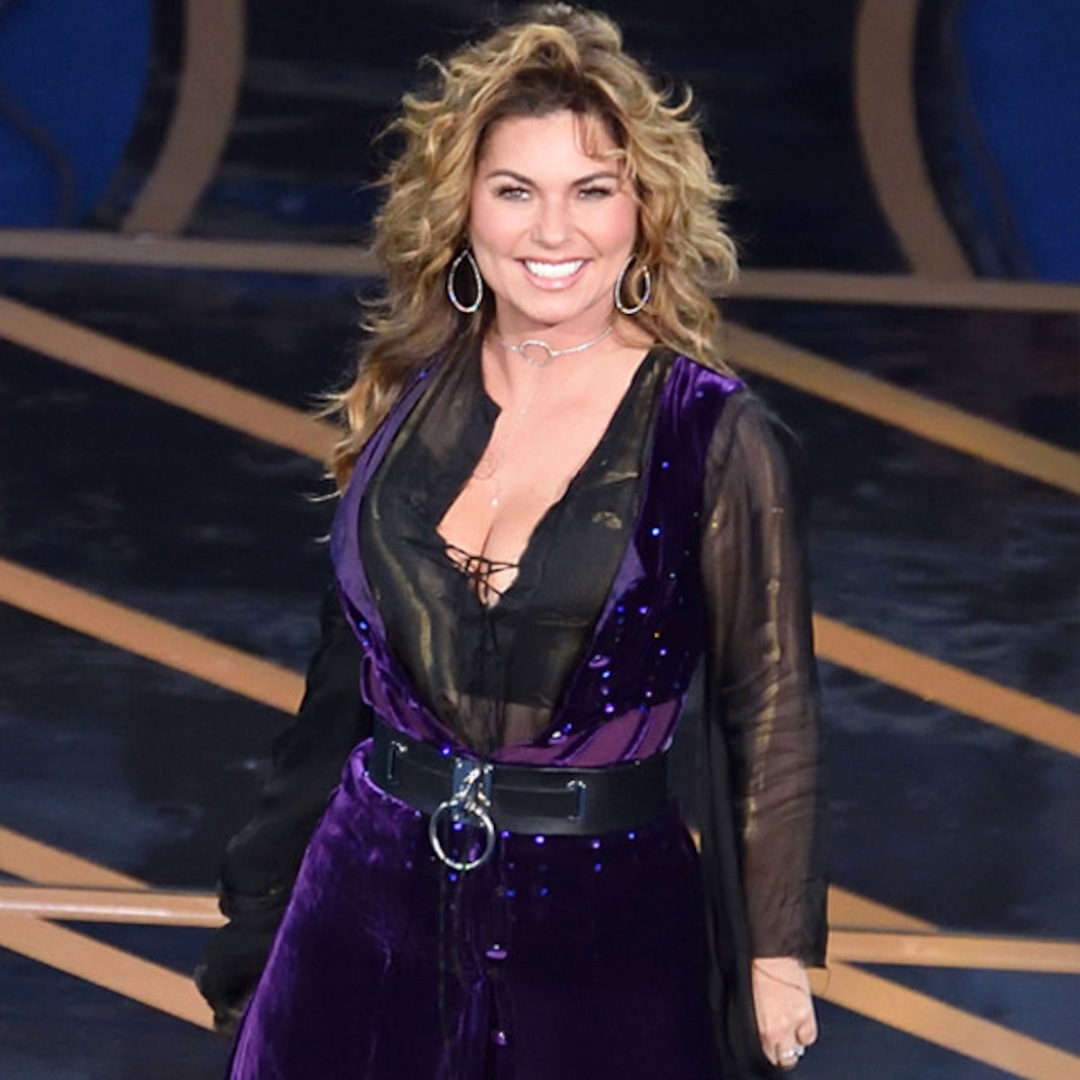 How Shania Twain Became Country Music S Ultimate Survivor E Online