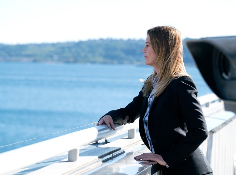 Grey's Anatomy Season 14